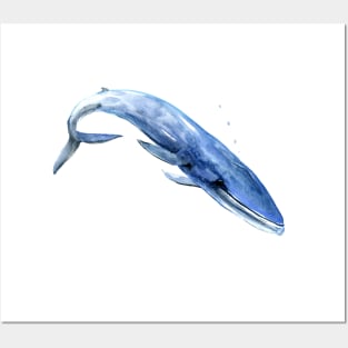 Blue Whale Posters and Art